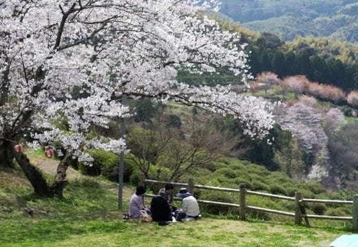 アンテナ工事業者の選び方